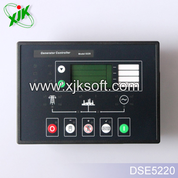 DSE5220